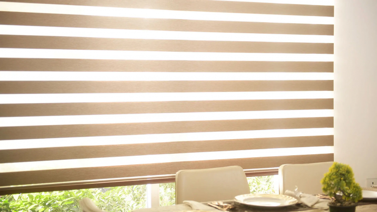 Transform Your Space with Stylish Zebra Blinds